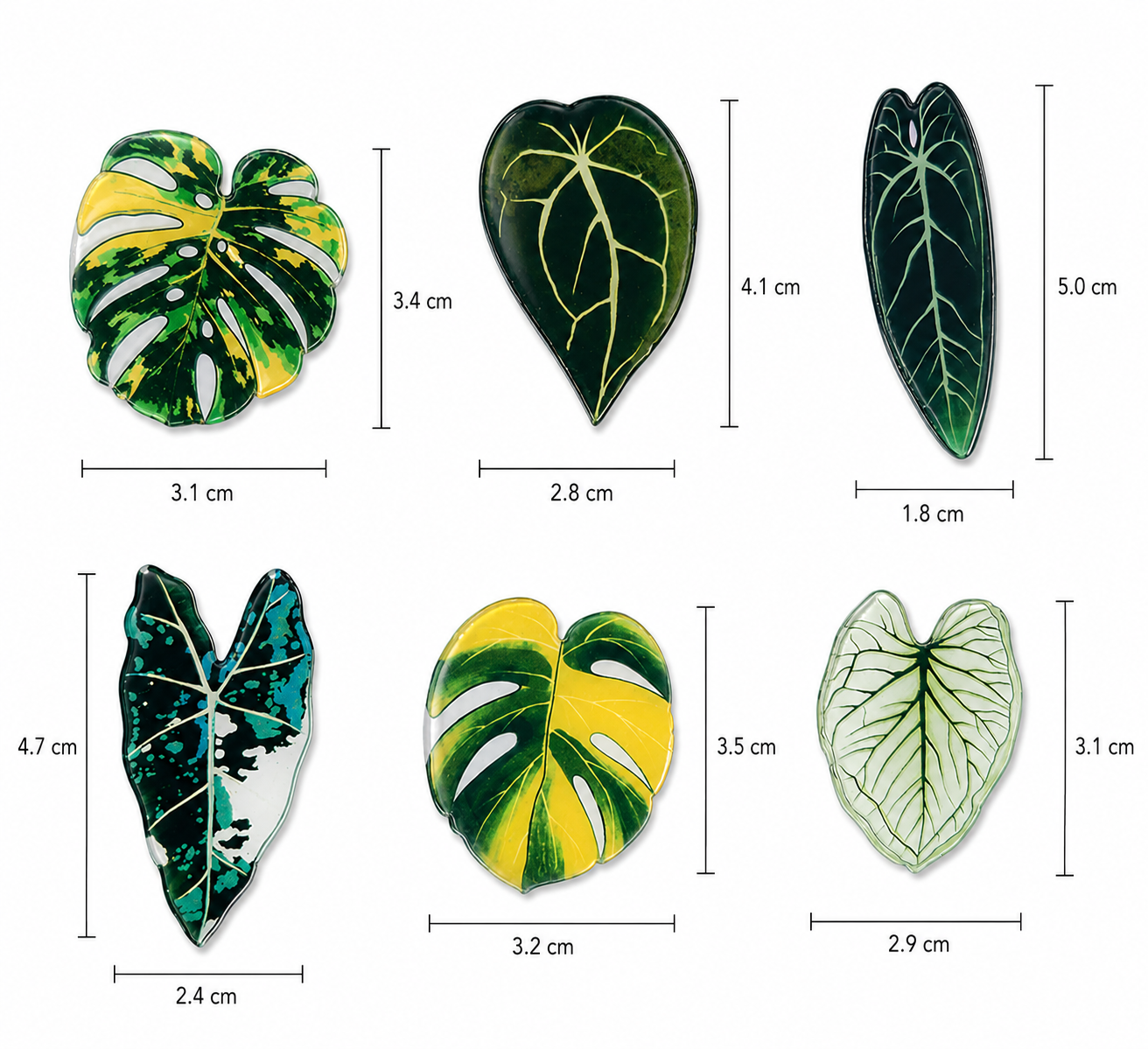 Botanical Leaf Magnet Set (6 pieces)
