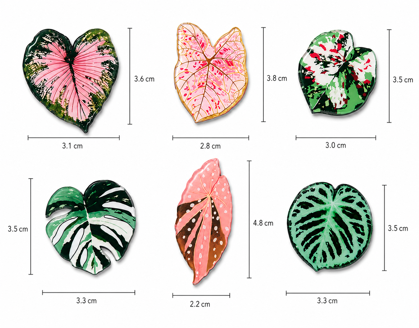 Botanical Leaf Magnet Set (6 pieces)