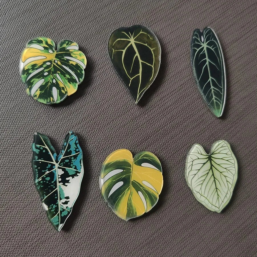 Botanical Leaf Magnet Set (6 pieces)