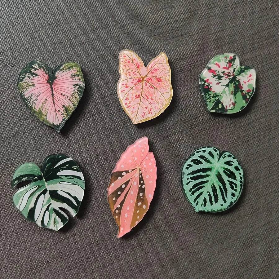 Botanical Leaf Magnet Set (6 pieces)